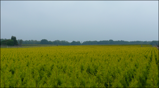 afbeelding "i_NL.IMRO.0743.BP02014003-OW01_0010.png"